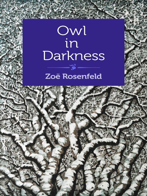Title details for Owl in Darkness by Zoë Rosenfeld - Available